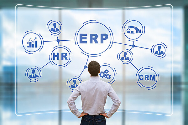Komplexes ERP Modell wird von Mitarbeiter geprüft