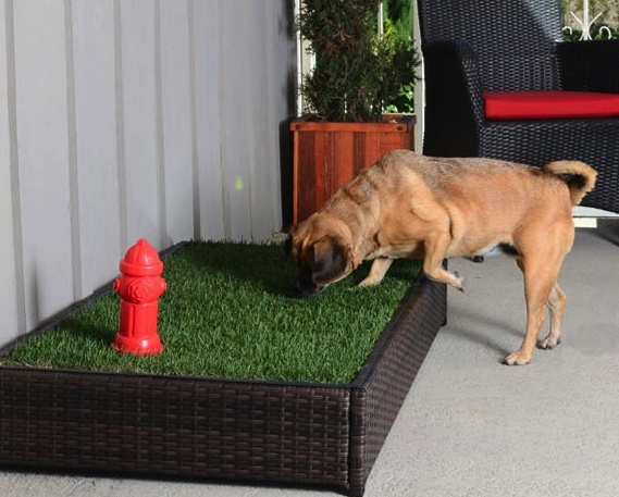 Porch Potty: Hundetoilette mit Hydrant und Rasen - foerderland