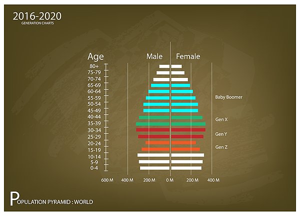 die Alterspyramide und der demographische Faktor